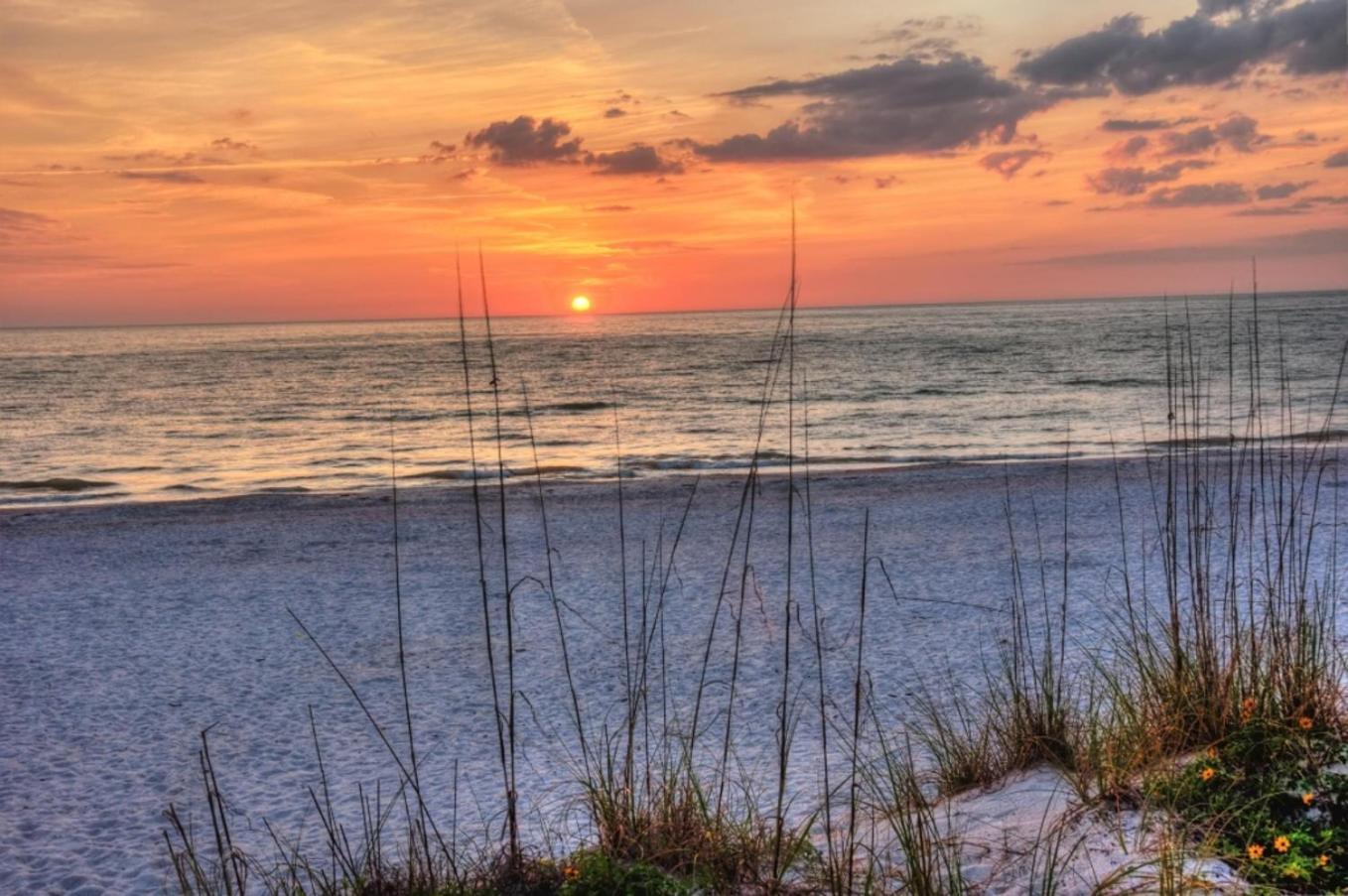 Boutique Beach Retreat St. Pete Beach Luaran gambar